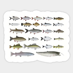 European Freshwater Fish Group Sticker